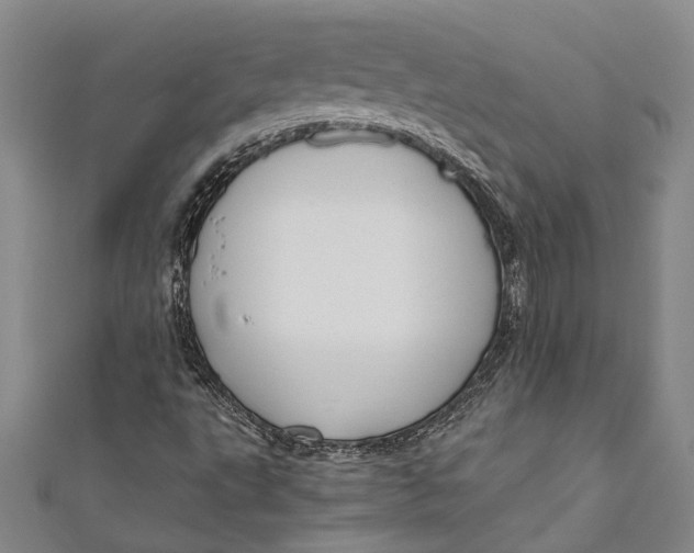 X0000110951495200907101256