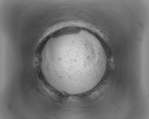 X0000110951496200907101256