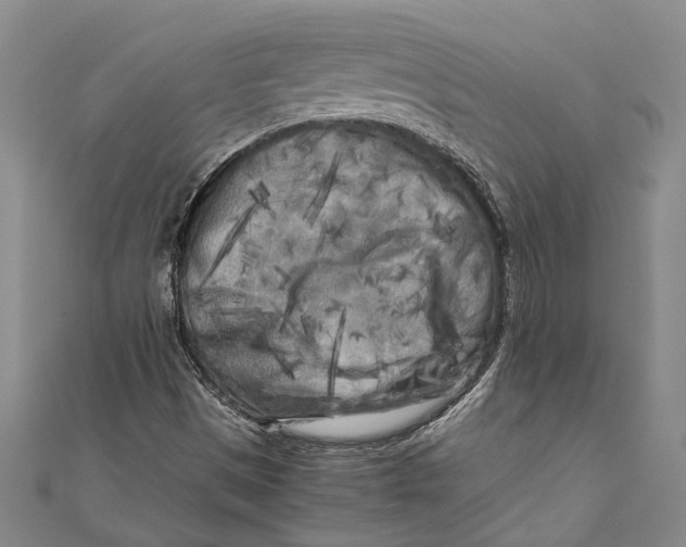 X0000110951497200907101256