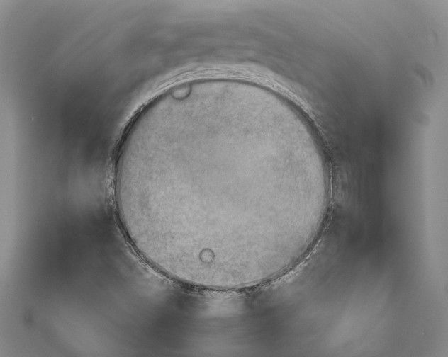 X0000110951498200907101256