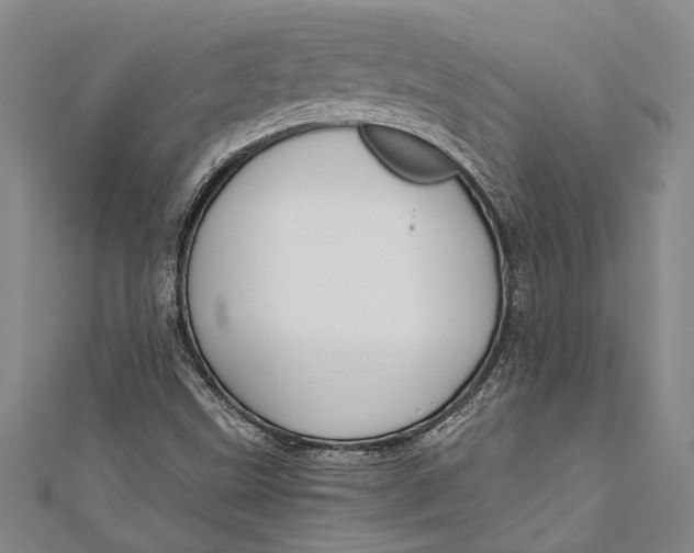 X0000110951499200907101256