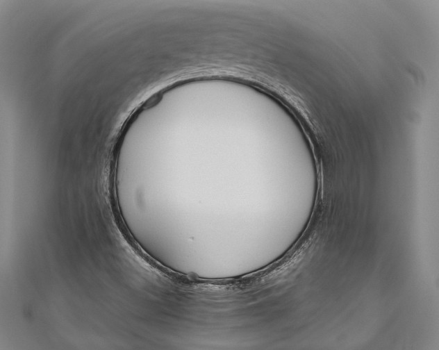 X0000110951500200907101256