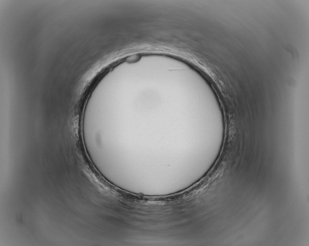 X0000110951503200907101256