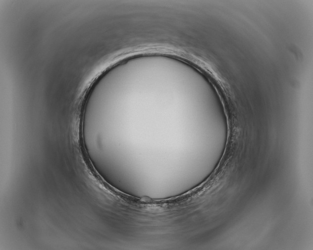 X0000110951504200907101256