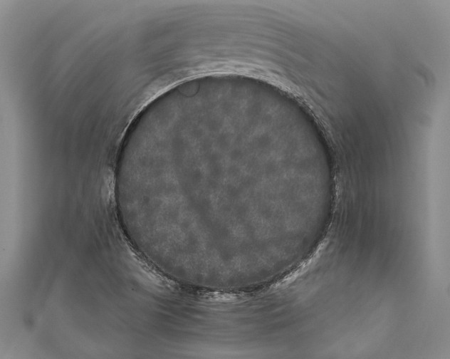 X0000110951505200907101256