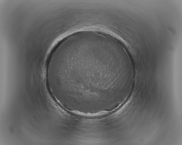 X0000110951506200907101256