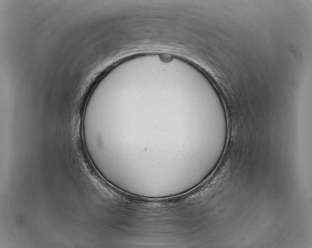 X0000110951507200907101256