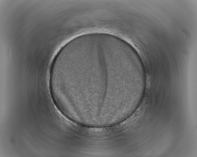 X0000110951508200907101256