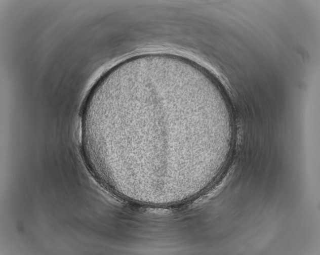 X0000110951509200907101256