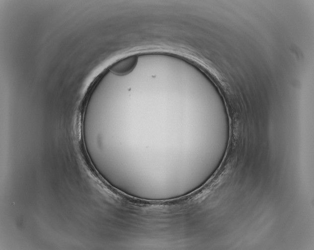 X0000110951510200907101256