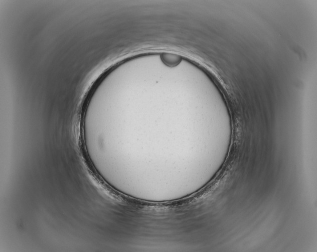 X0000110951511200907101256