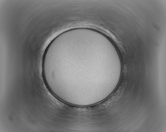 X0000110951512200907101256