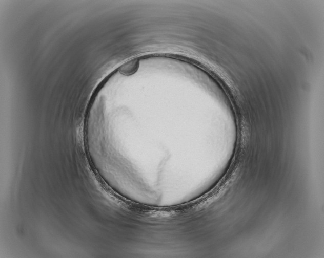 X0000110951513200907101256