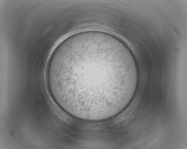 X0000110951514200907101256