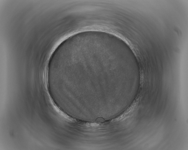 X0000110951515200907101256