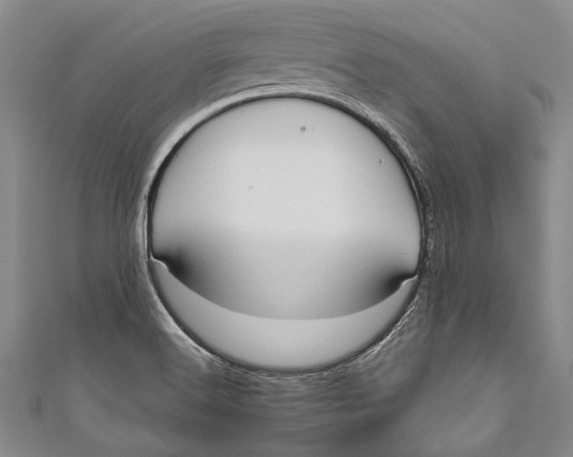 X0000110951516200907101257