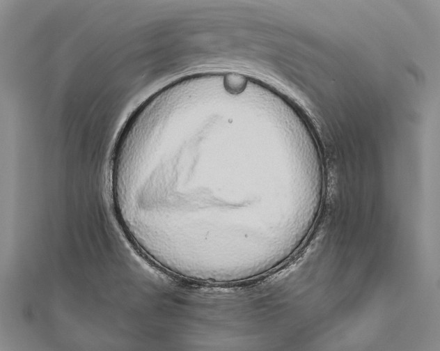 X0000110951517200907101257