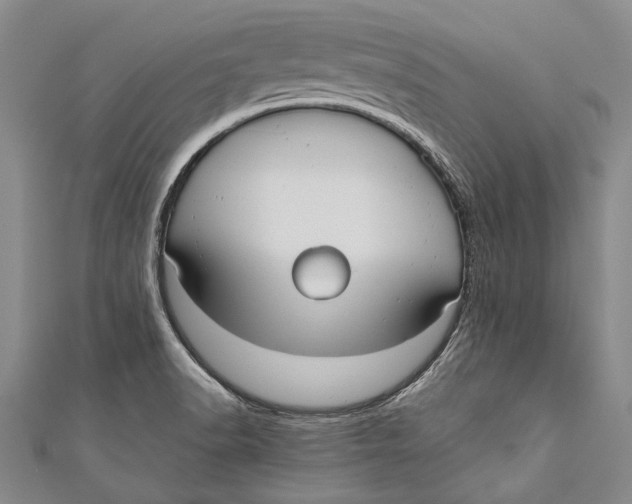 X0000110951518200907101257