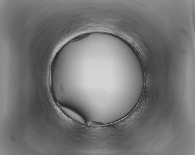 X0000110951520200907101257