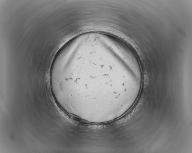 X0000110951521200907101257