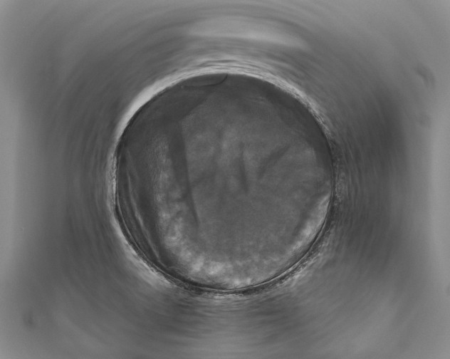 X0000110951522200907101257