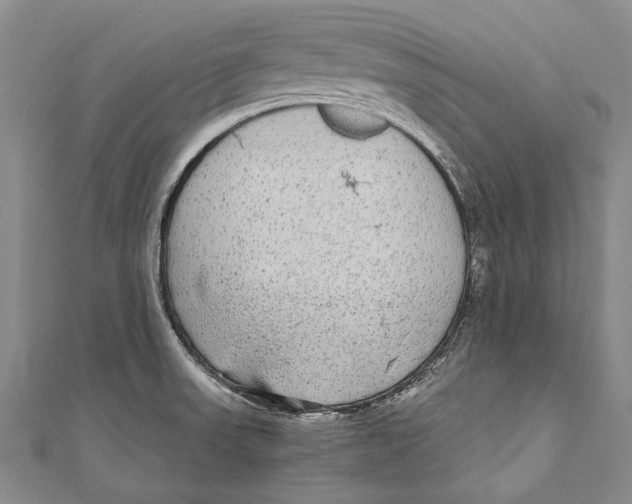 X0000110951523200907101257