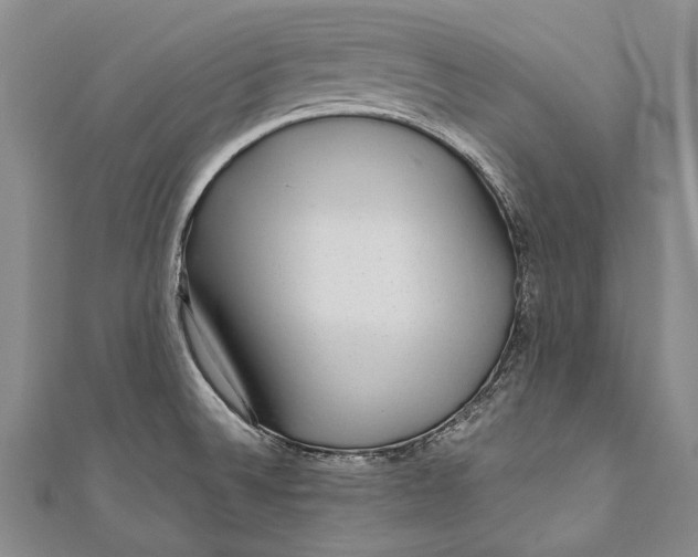 X0000110951524200907101257