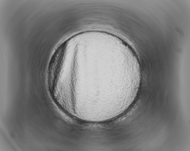 X0000110951525200907101257