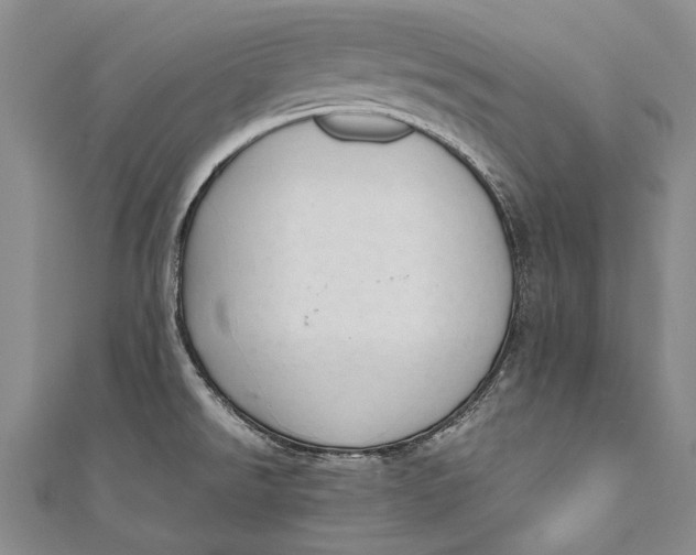 X0000110951526200907101257