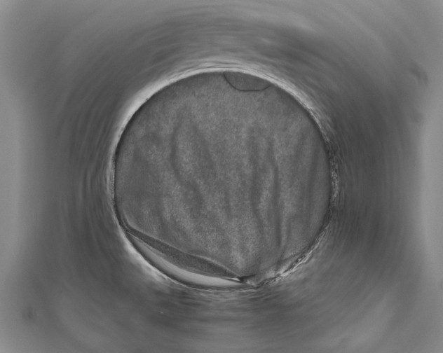 X0000110951527200907101257