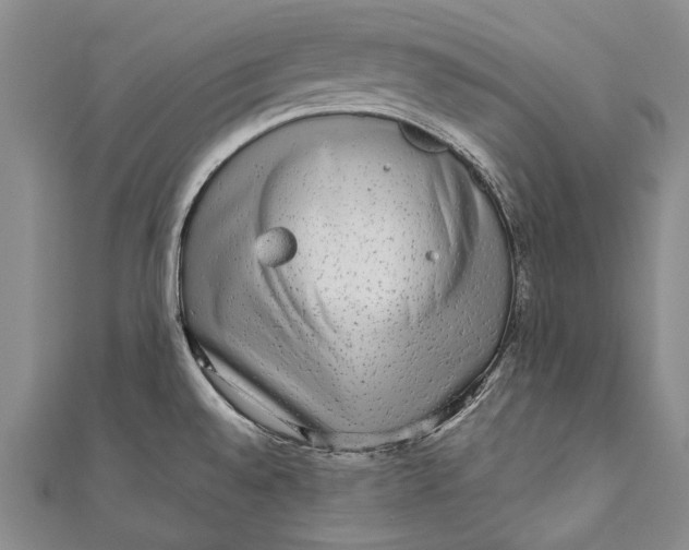 X0000110951528200907101257