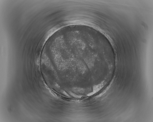 X0000110951529200907101257