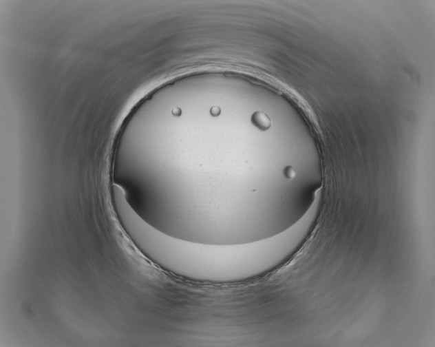 X0000110951530200907101257