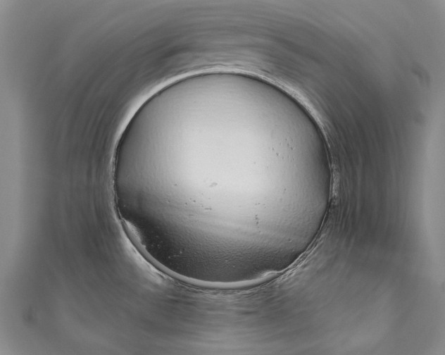 X0000110951532200907101257