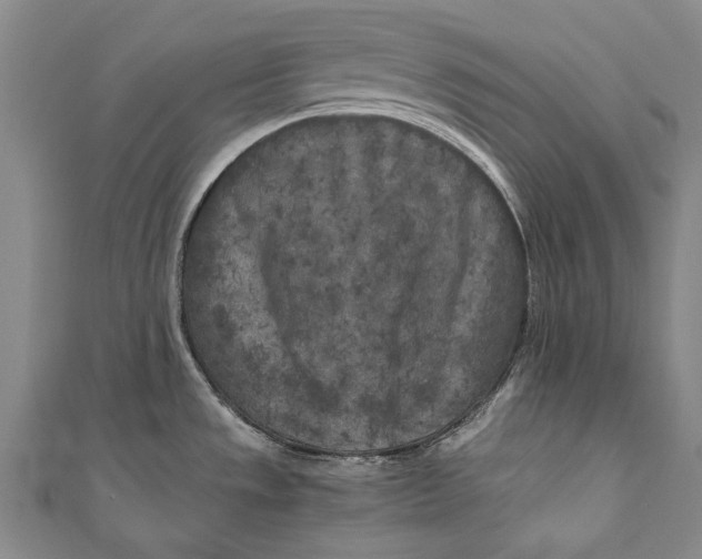 X0000110951533200907101257