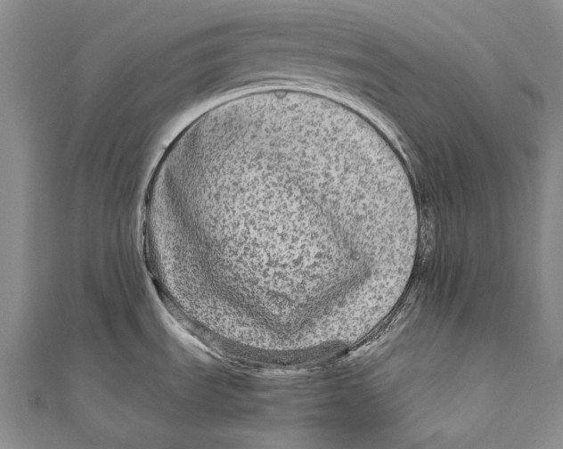 X0000110951535200907101257