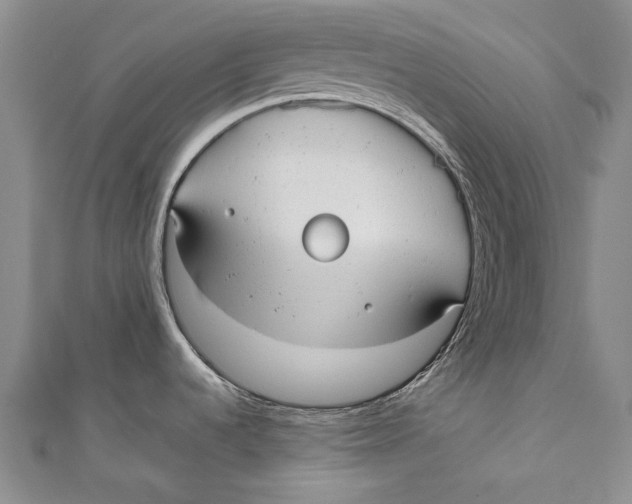 X0000110951536200907101257