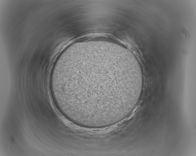 X0000110950001200907171638