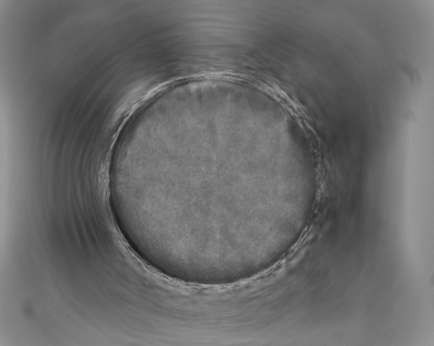 X0000110950002200907171638