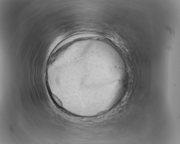 X0000110950003200907171638