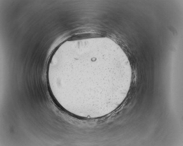 X0000110950004200907171638