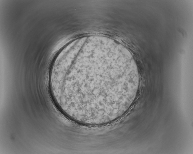 X0000110950005200907171638