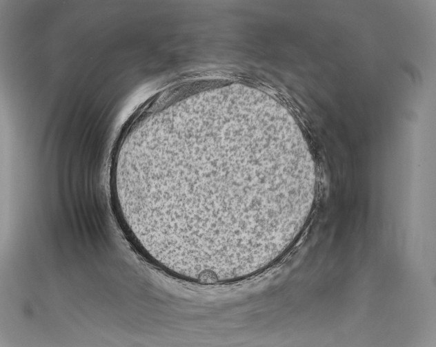 X0000110950006200907171638