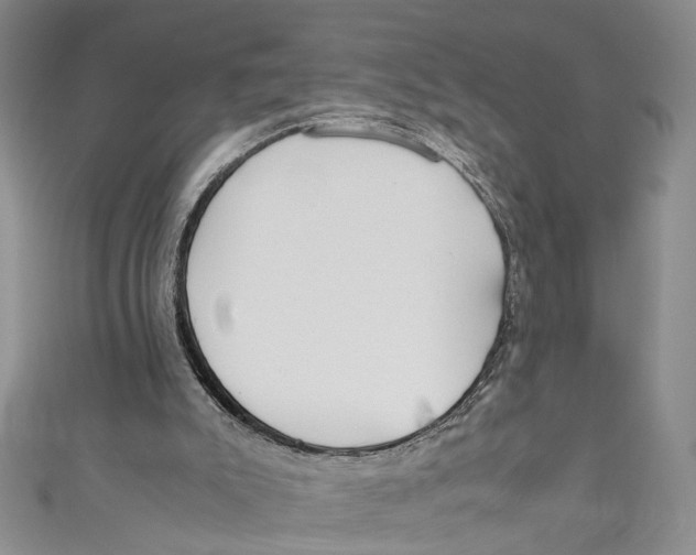 X0000110950007200907171638