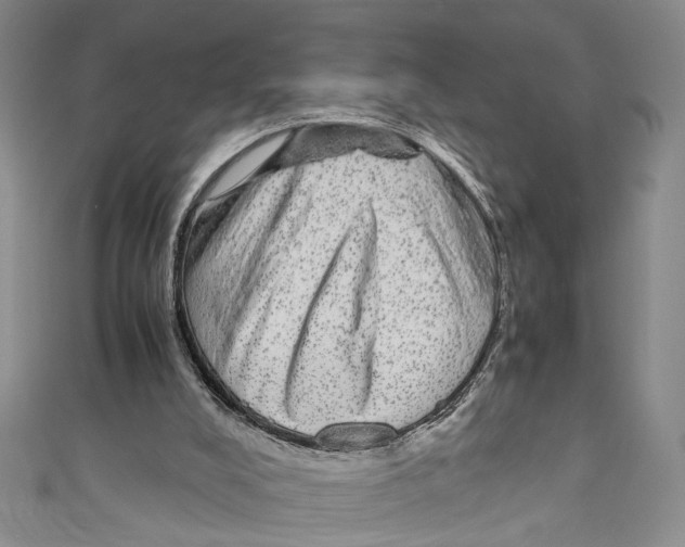 X0000110950008200907171638