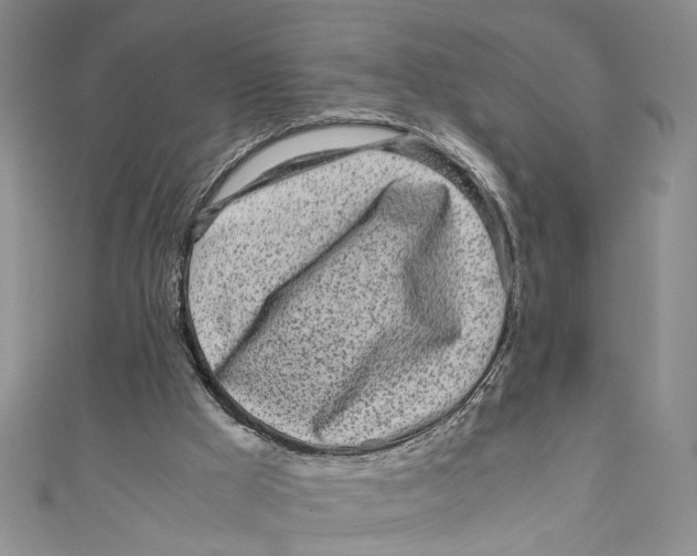X0000110950009200907171638