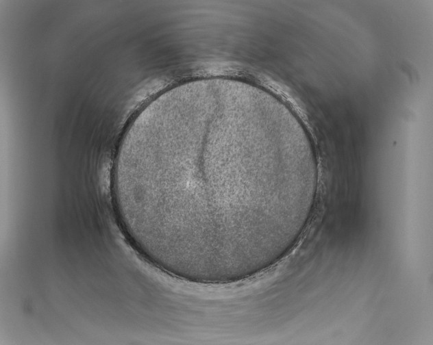 X0000110950010200907171638
