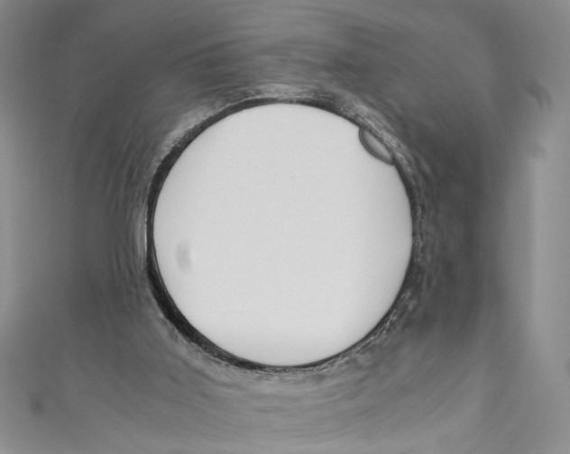 X0000110950011200907171638