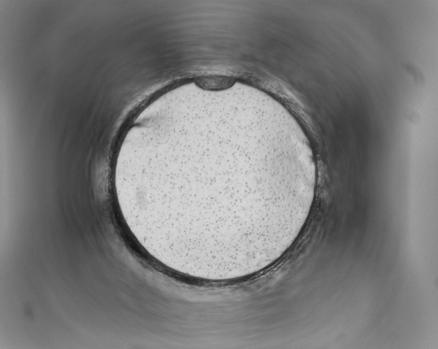 X0000110950012200907171638