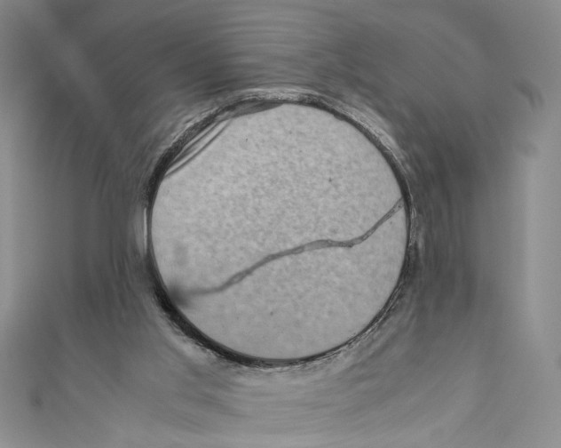 X0000110950013200907171638